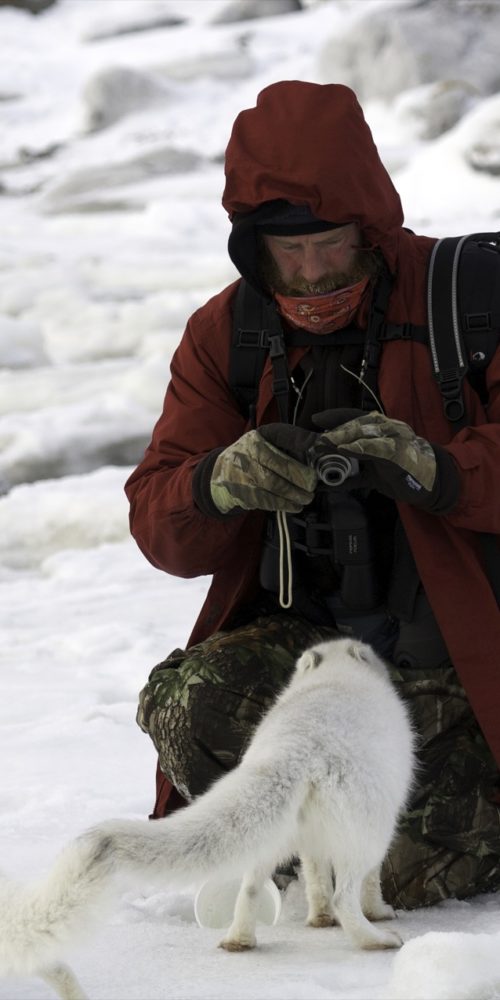 Churchill Wild guide with arctic fox. Lydia Attinger photo.