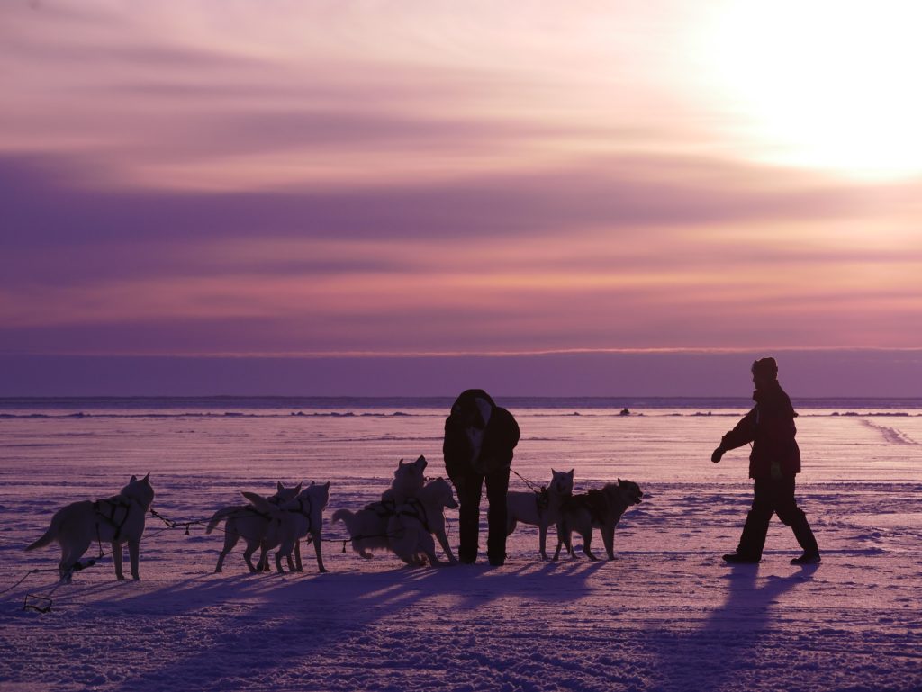Floe edge dogsled team at Seal River Heritage Lodge