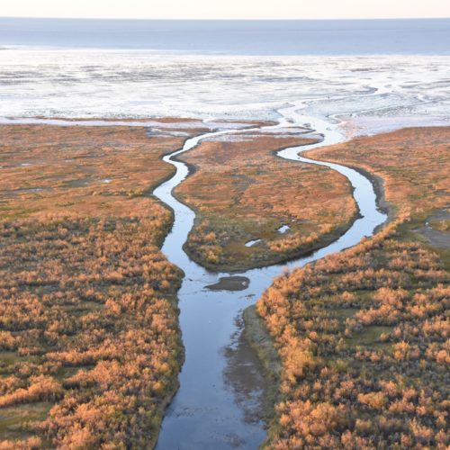 Fork in the river leading to the Hudson Bay. Jannette Gelbhardt photo.