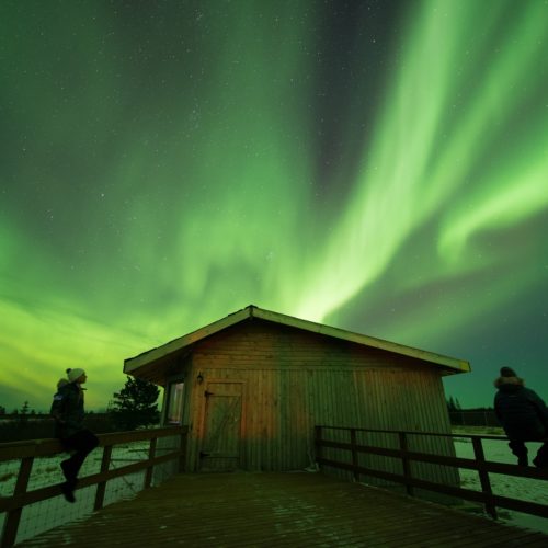 Guests enjoying the northern lights at Nanuk Polar Bear Lodge.