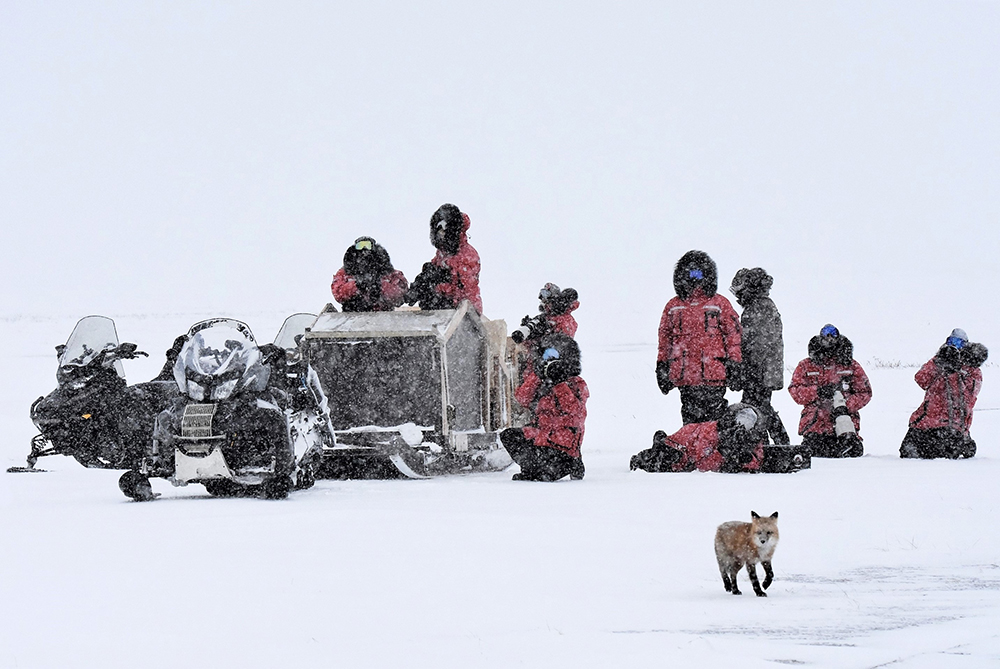 1st Place - People - Steve Pressman - Churchill Wild 2022 Guest Photo Contest - Cloud Wolves of the Kaska Coast - Nanuk Polar Bear Lodge