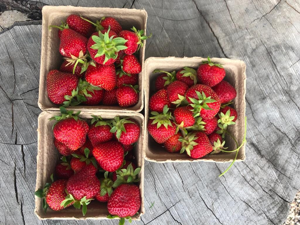 Fresh strawberries at Prairie Wild