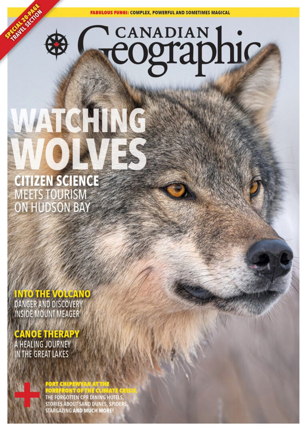 Watching Wolves - Citizen Science Meets Tourism on Hudson Bay. At Nanuk Polar Bear Lodge. Canadian Geographic. September/October Issue.