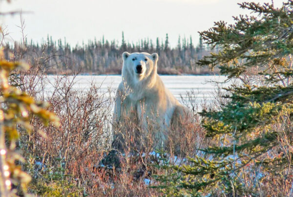 Scarbrow has visited Dymond Lake Ecolodge for 14 of the past 15 years.