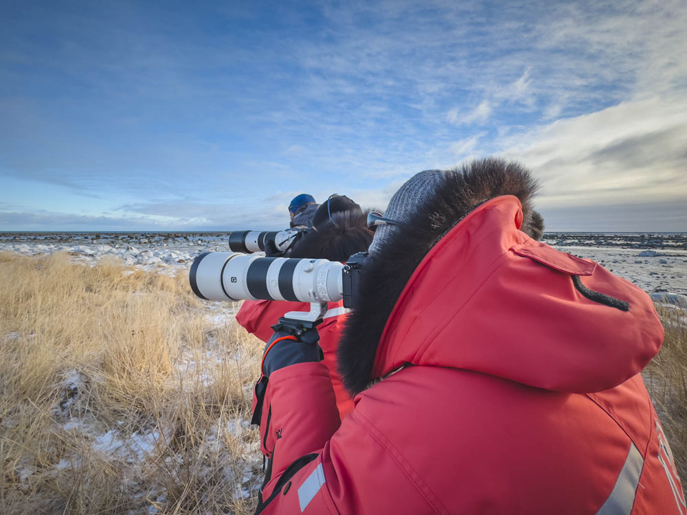 Guests photographing polar bears at Seal River Heritage Lodge. Dave Bouskill / The Planet D photo.