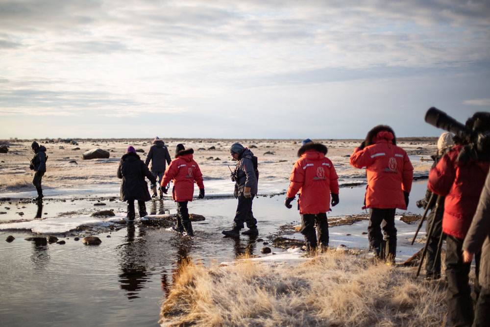 Guests walking out to view polar bears at Seal River Heritage Lodge. Artica Studios photo.