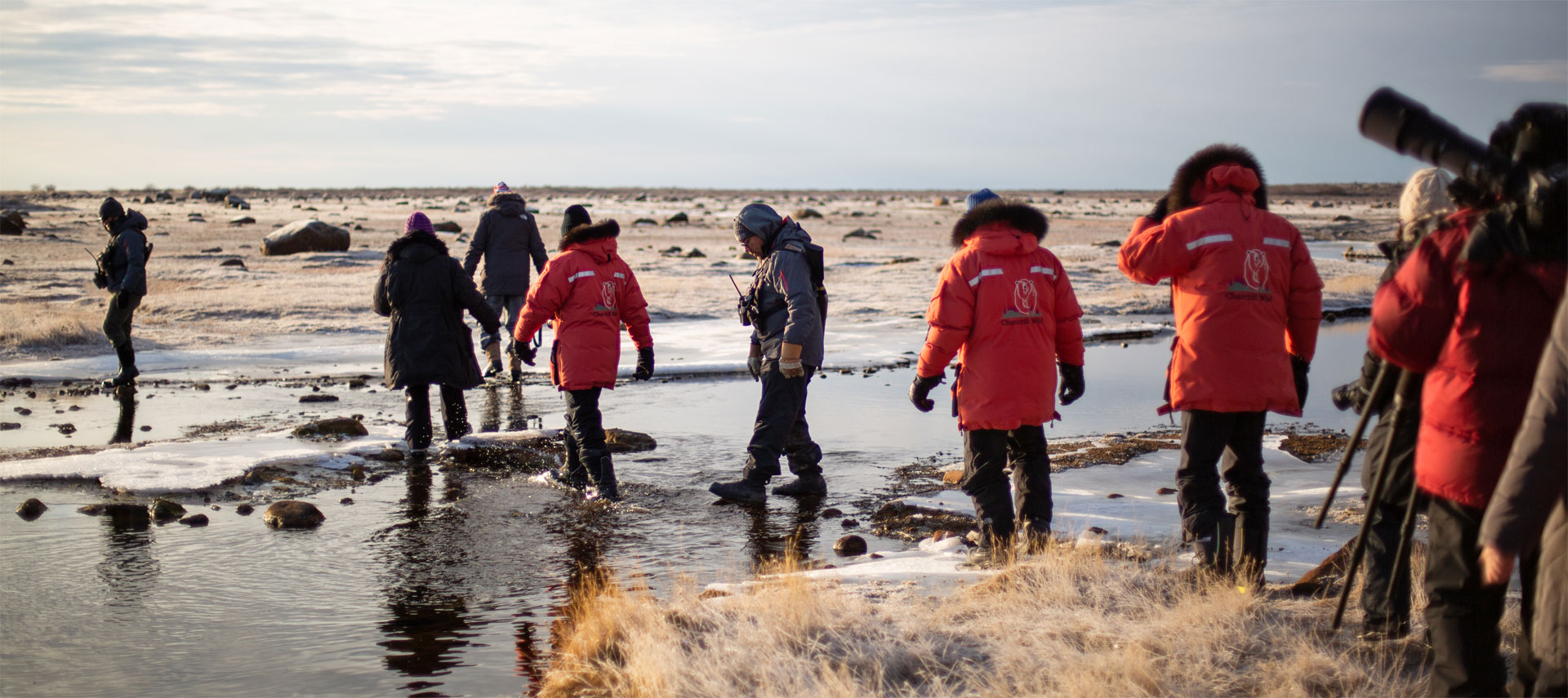 Walking with polar bears. Five decades of experience and an exceptional safety record.