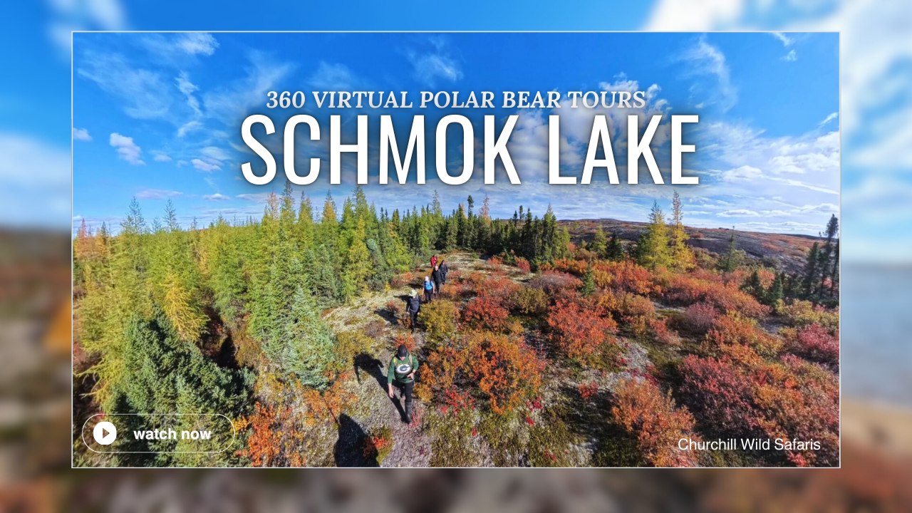 Schmok Lake Hike