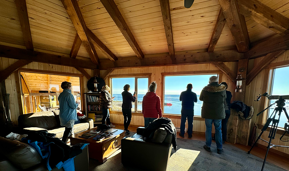 people looking out window at seal river heritage lodge