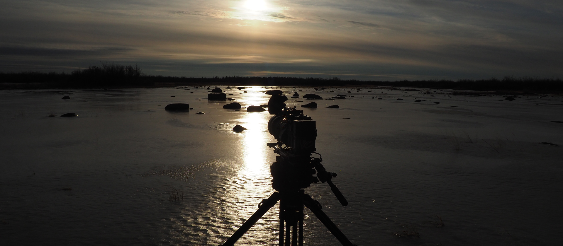 Mud Warriors: A Subarctic Search for Wolves and Polar Bears