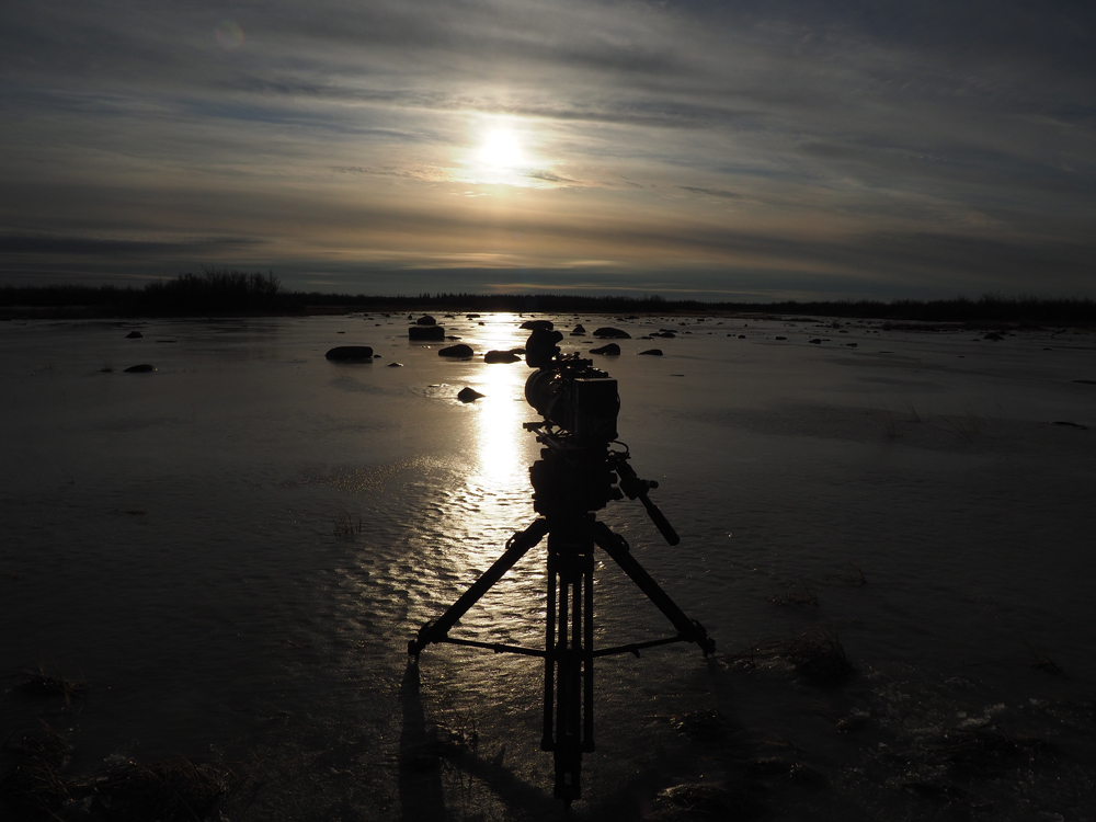 Video camera at the ready. Nanuk Polar Bear Lodge. Quent Plett photo.