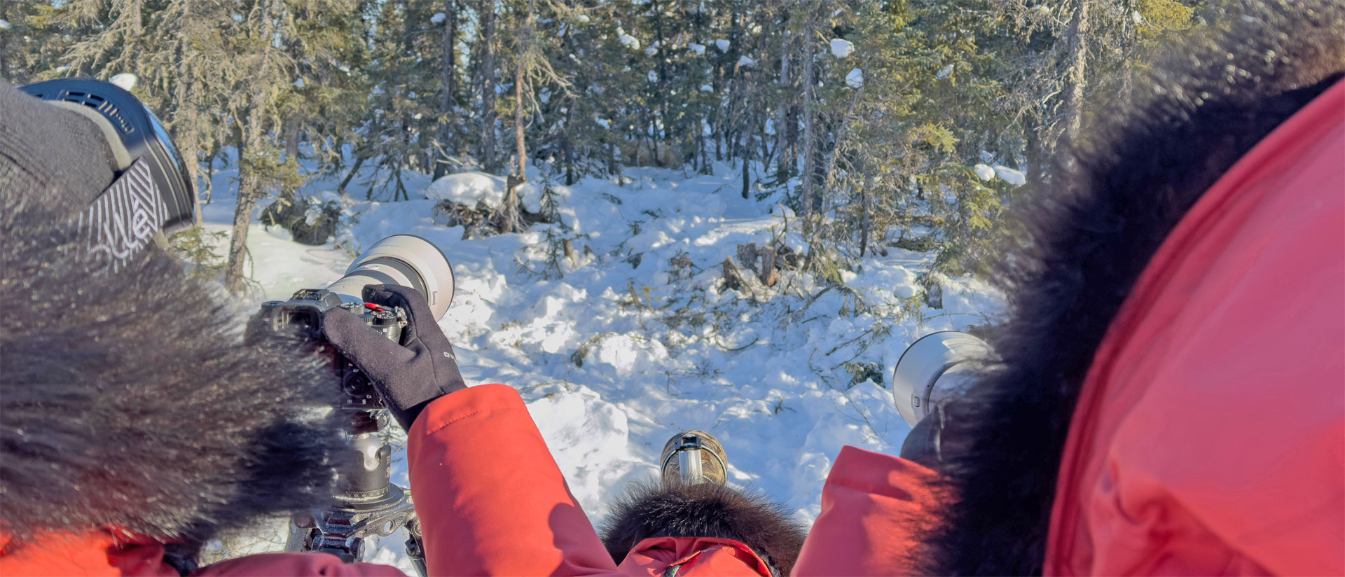 An Unlikely Path to Polar Bears: Meet Emma Dickins at Nanuk