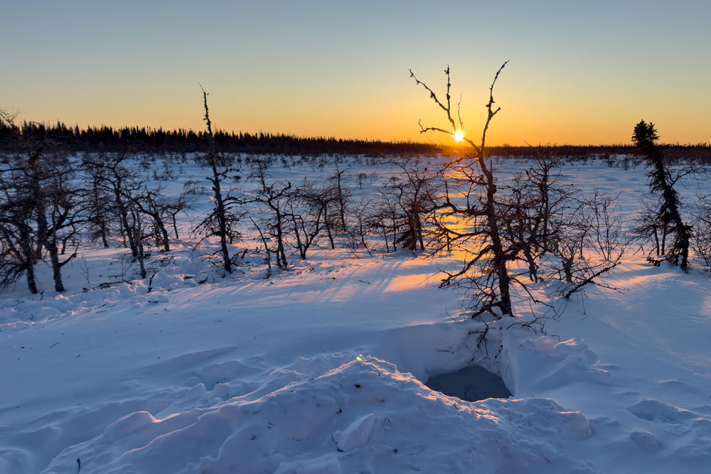 Polar bear den. Nanuk Emergence Quest. Nanuk Polar Bear Lodge. Christoph Jansen / ArcticWild.net photo.