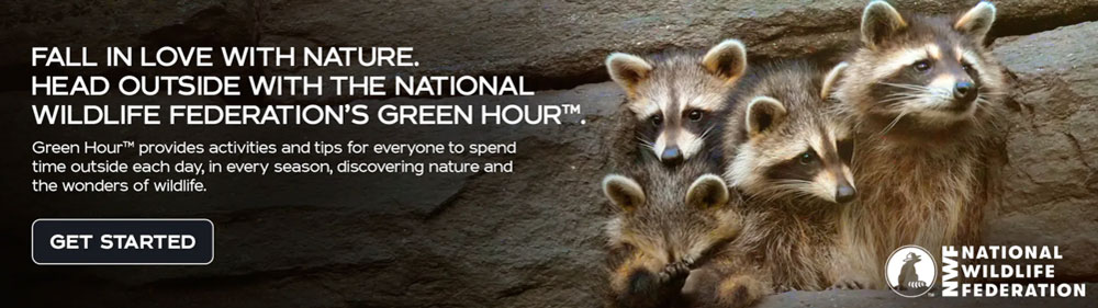 The National Wildlife Federation's Green Hour™. Click the image to rediscover nature and the wonders of wildlife.