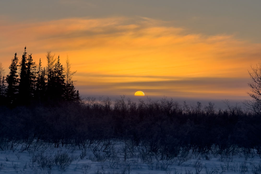 Sun sets on the most successful Nanuk Emergence Quest ever at Nanuk Polar Bear Lodge. Christoph Jansen / ArcticWild.net photo.