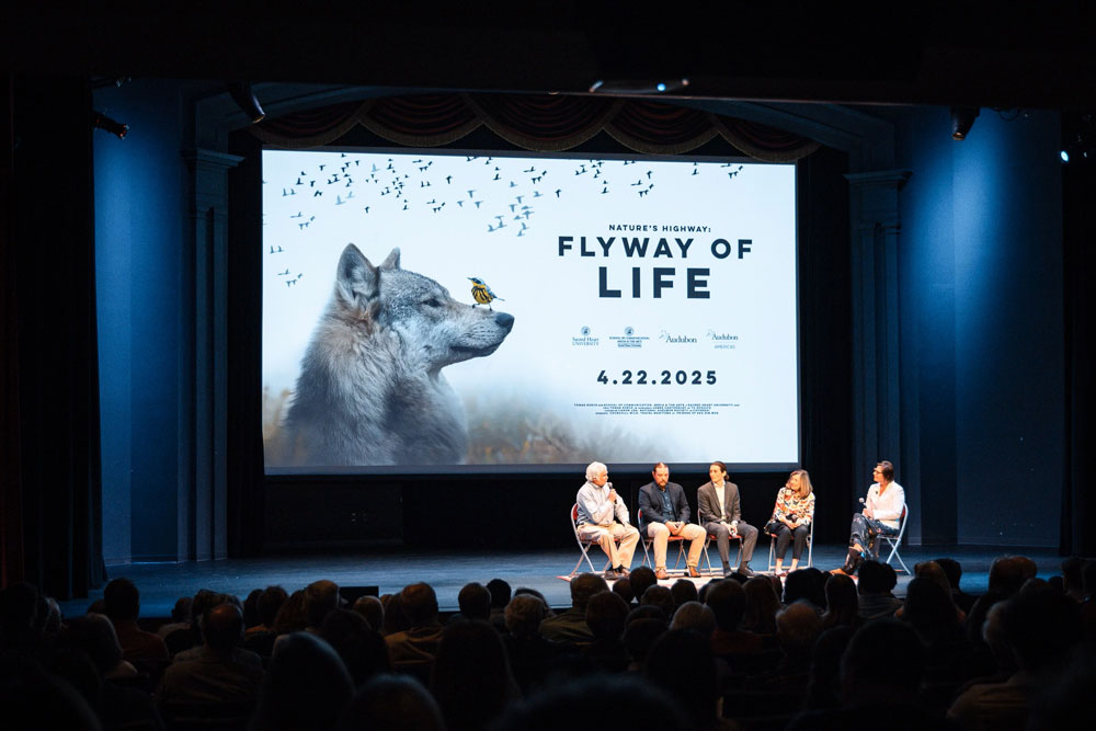 Panel at the Flyway of Life premiere. Jackson Sokoloski photo.