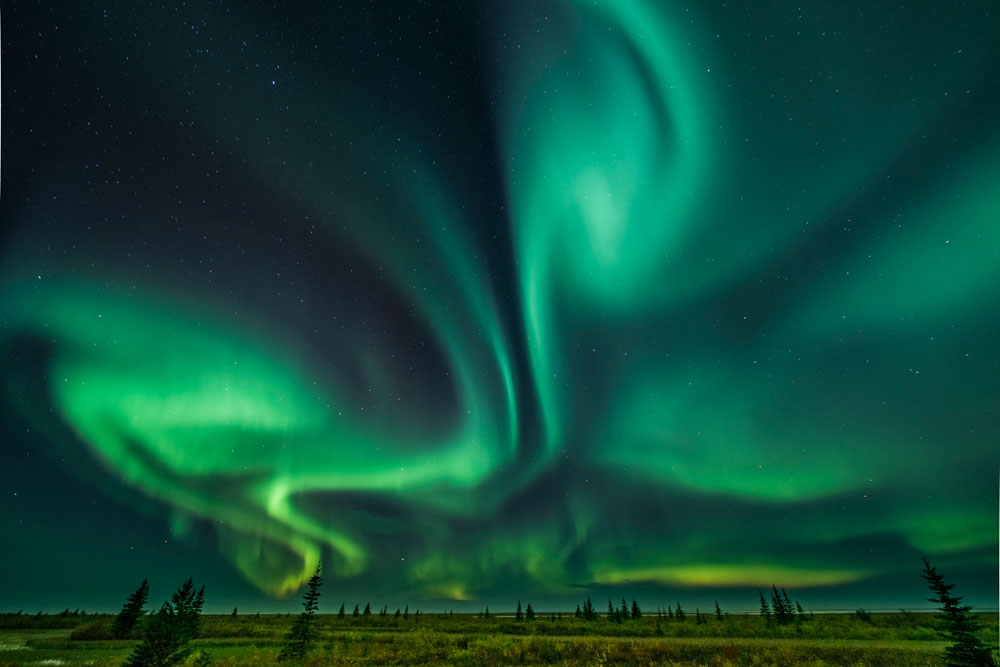 Northern Lights at Nanuk Polar Bear Lodge. Jad Davenport photo.