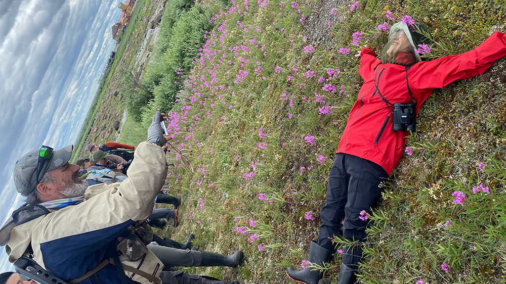 Taking a photo of a guest laying in the fireweed at Seal River Heritage Lodge. Johnny Berg photo.