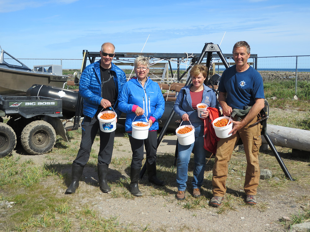 Group holding buckets of freshly picked berries at Seal River Heritage Lodge.