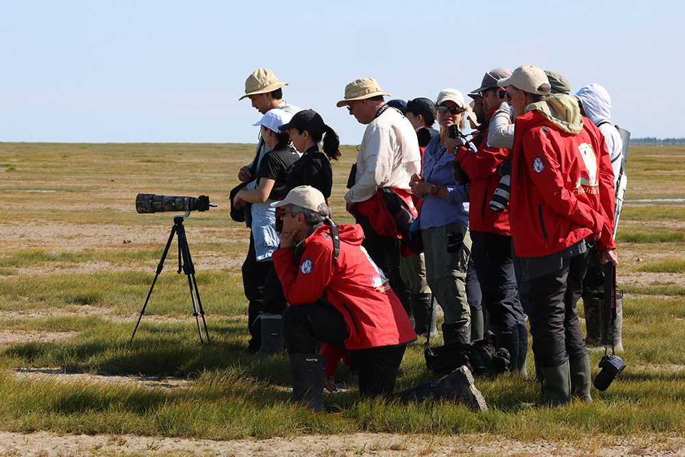 Guests viewing polar bears at Nanuk. Priscilla Downey photo.