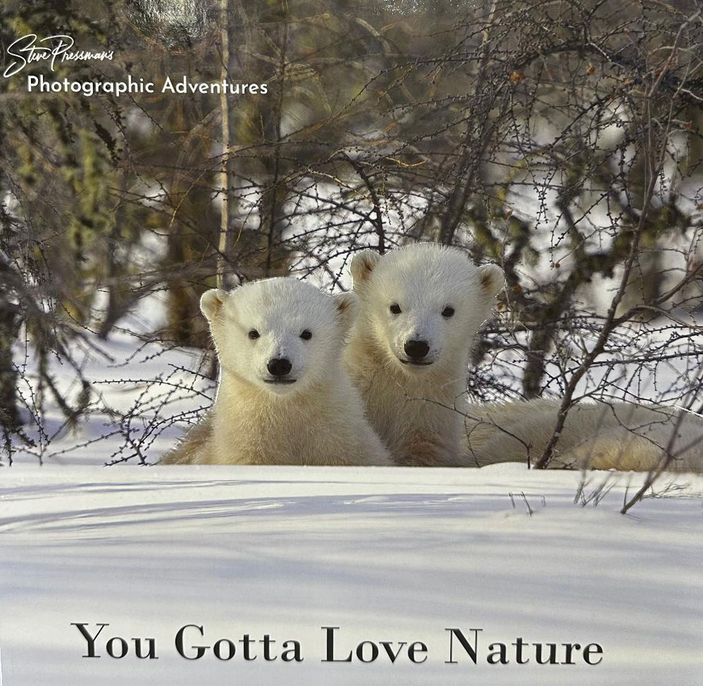 New book! Photographic Adventures represents 15 years of wildlife photography for Steve Pressman of YouGottaLoveNature.com. Click the image for more information.
