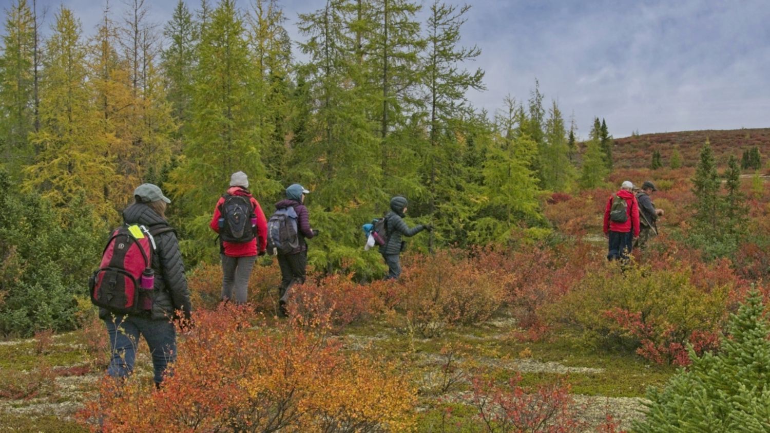 Trekking through the tundra. The experience leaves you humbled and in awe. Roberta Oswald photo