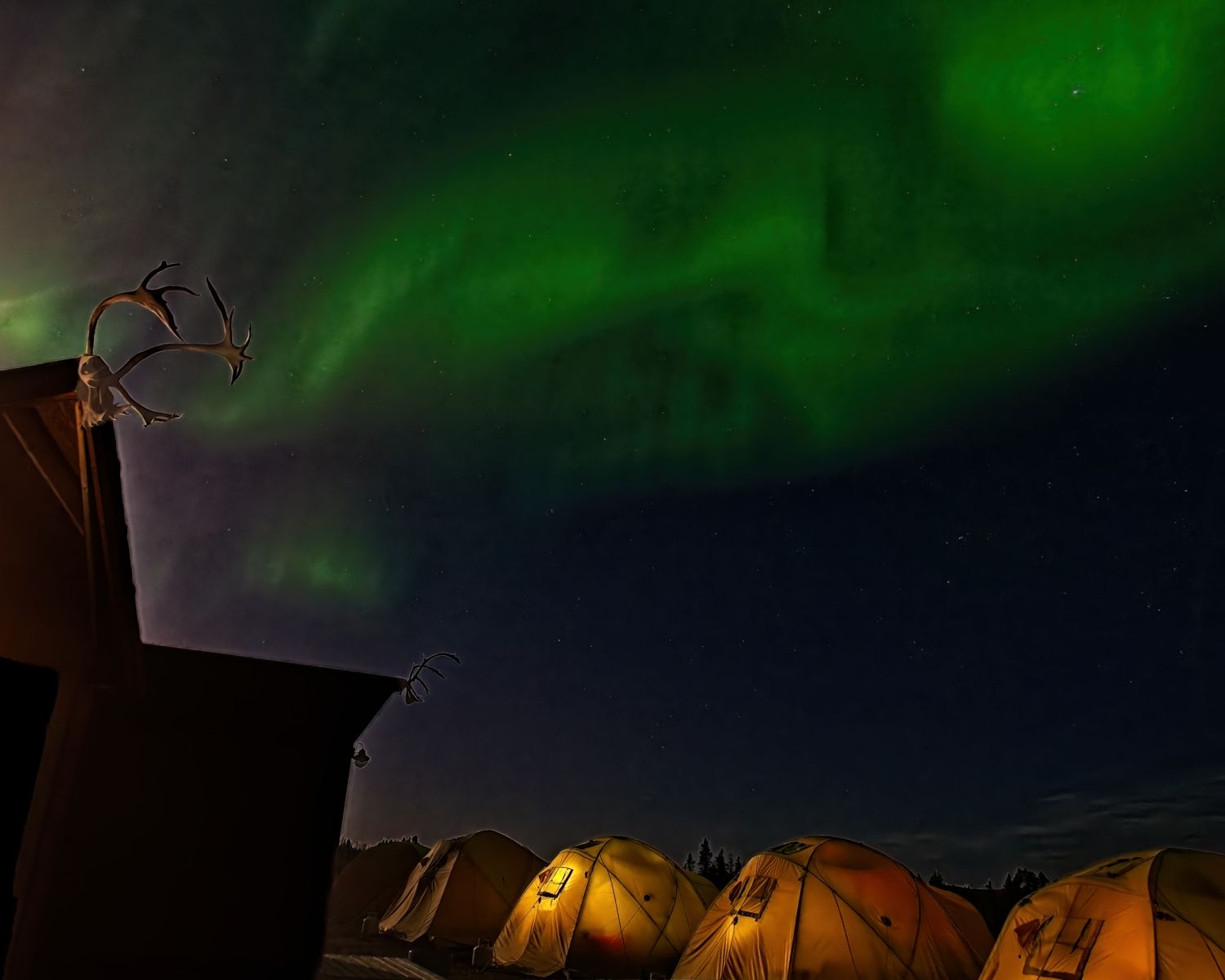 Northern lights over Tundra Camp. Betty Hrycyshyn photo.