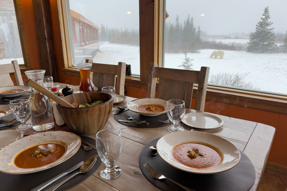 The only place on the planet where you can walk with polar bears. And have dinner with them too! Fabienne Jansen / ArcticWild.net photo.