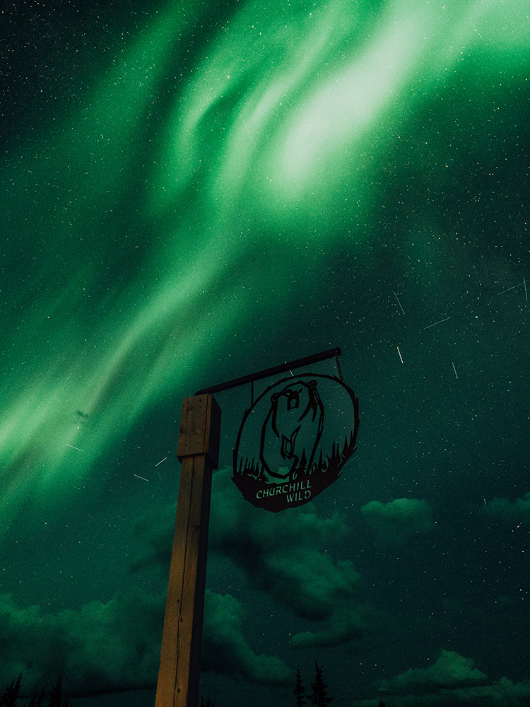 northern-lights-churchill-wild