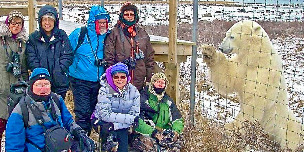 Young Bob the polar bear posing with guests at Seal River Heritage Lodge. Bob Jenkins photo.
