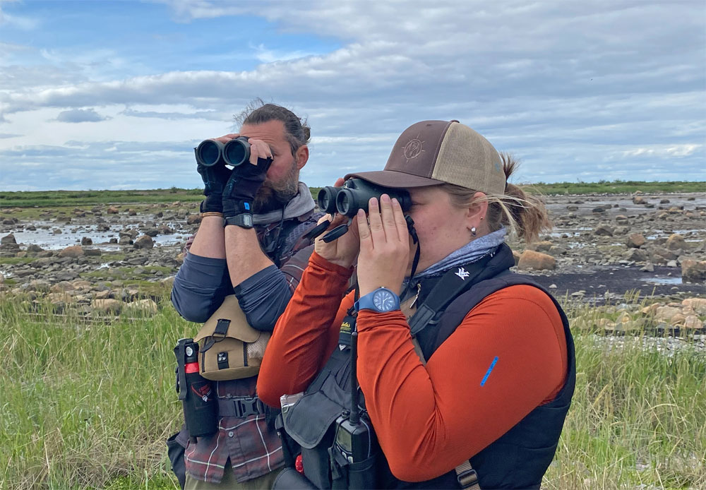 Polar bear guides Luke Kolla and Shayna Plett searching for polar bears at Seal River Heritage Lodge.