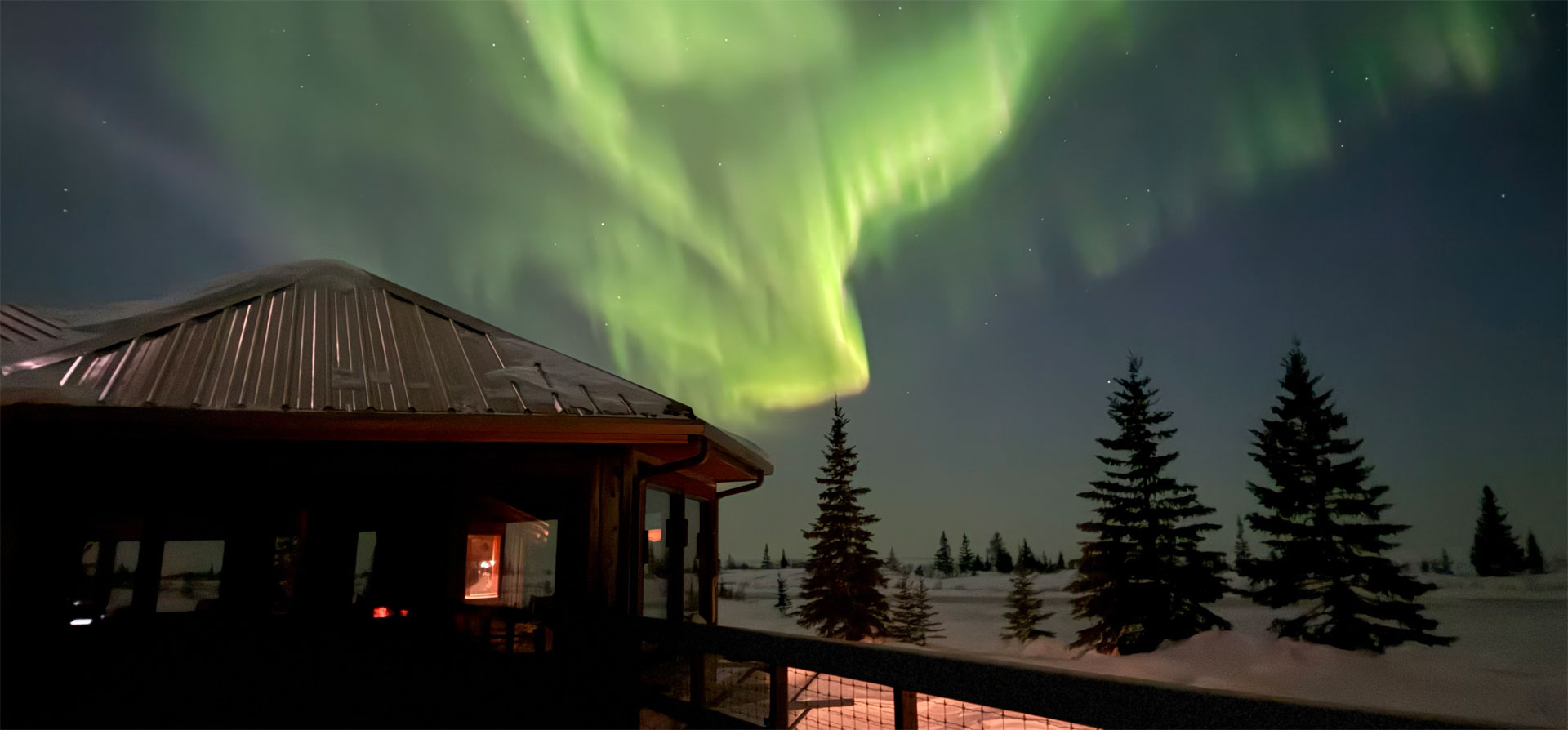 More Than Wolves. The Story Behind the Photos at Nanuk.