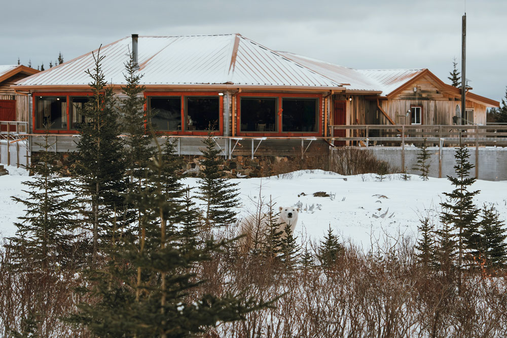 Polar bear watching guests in front of Nanuk Polar Bear Lodge. Hannah Rheaume photo
