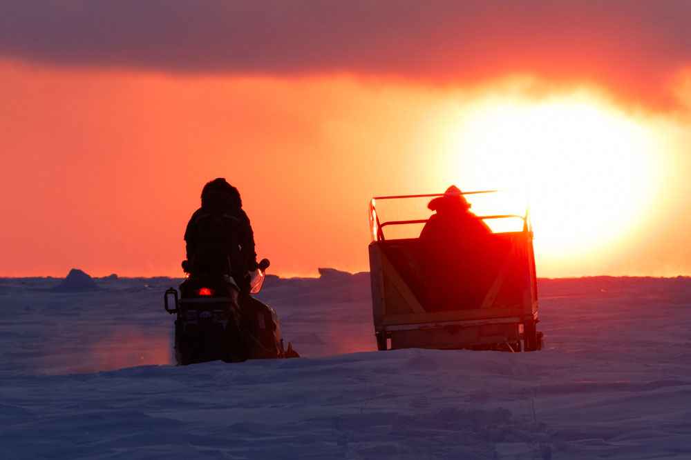 Riding into the low sun aboard a komatik at Churchill Wild's Nanuk Polar Bear Lodge. Cloud Wolves of the Kaska Coast safari. March 2026. Ellen Zangla photo.