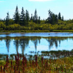 3rd Place - Landscape - Brian Brooks - Summer Dual Lodge Safari - Seal River & Nanuk Polar Bear Lodge