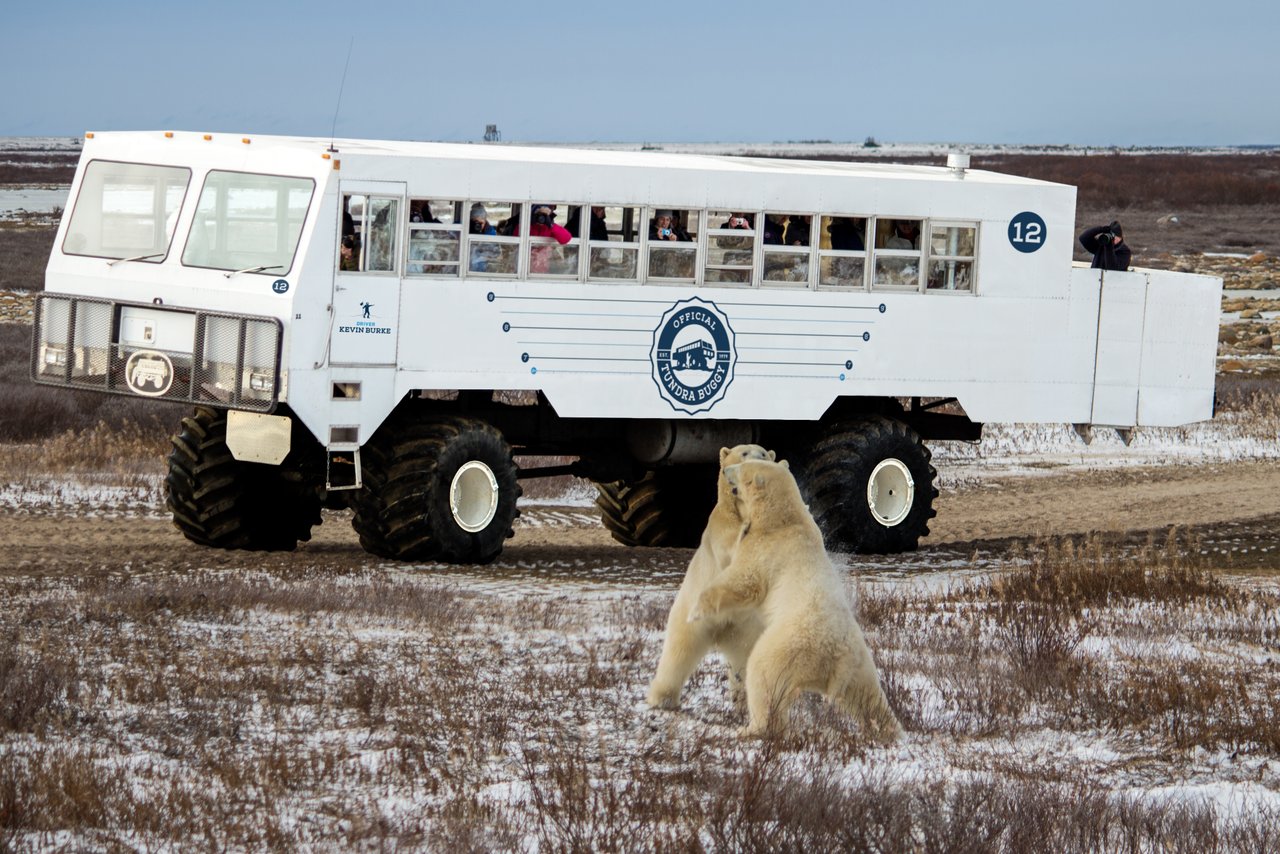 Frontiers North Tundra Buggy