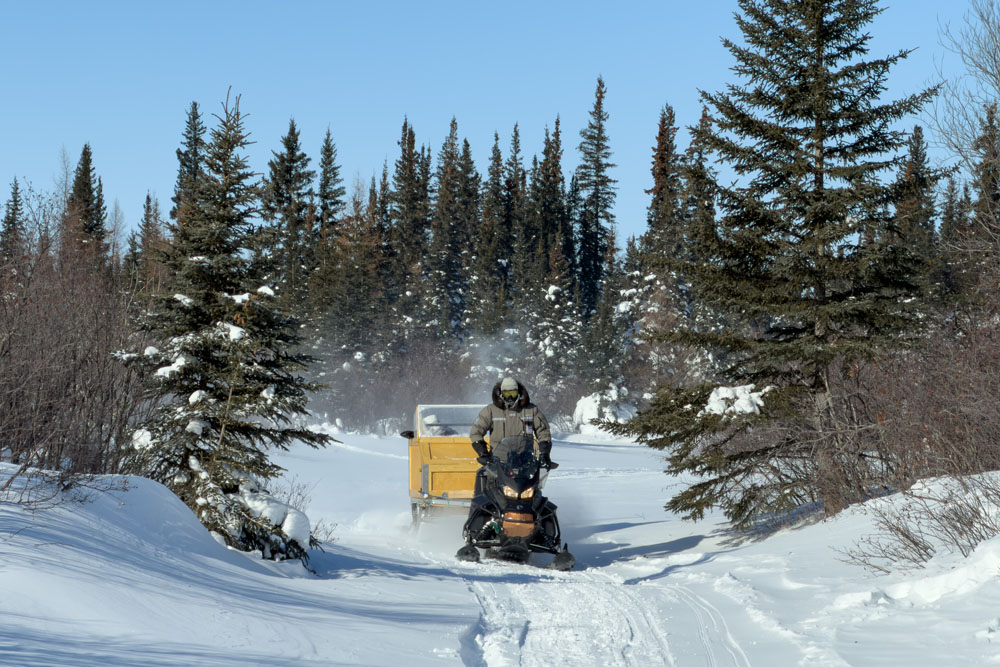 Down the trail with the komatik at Nanuk Polar Bear Lodge. Christoph Jansen / ArcticWild.net.