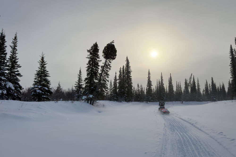 Into polar bear country we go! Nanuk Polar Bear Lodge. Christoph Jansen / ArcticWild.net photo.