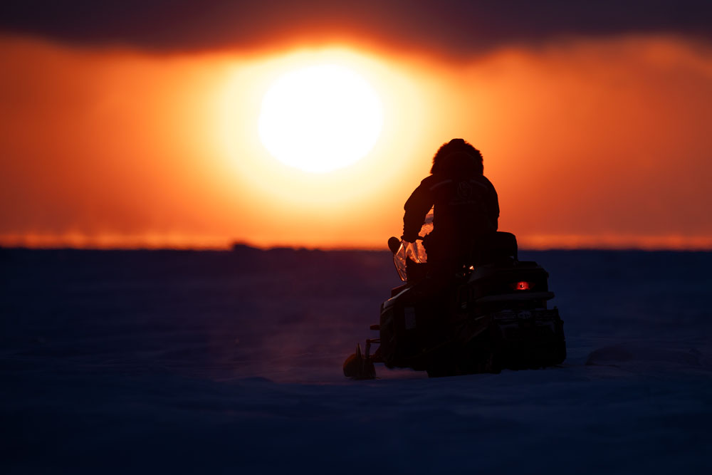 Into the sun. Nanuk Polar Bear Lodge. Fabienne Jansen / ArcticWild.net.
