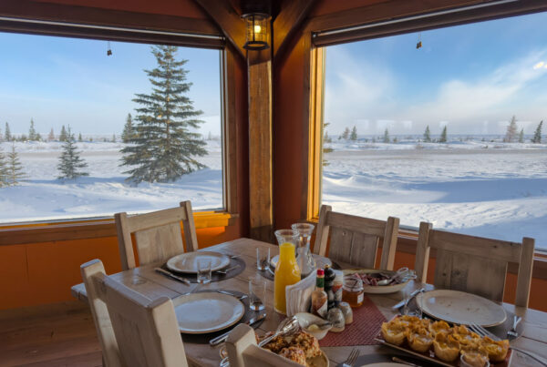 View of the snowy landscape at Nanuk Polar Bear Lodge through the dining room windows. Fabienne Jansen / ArcticWild.net photo.
