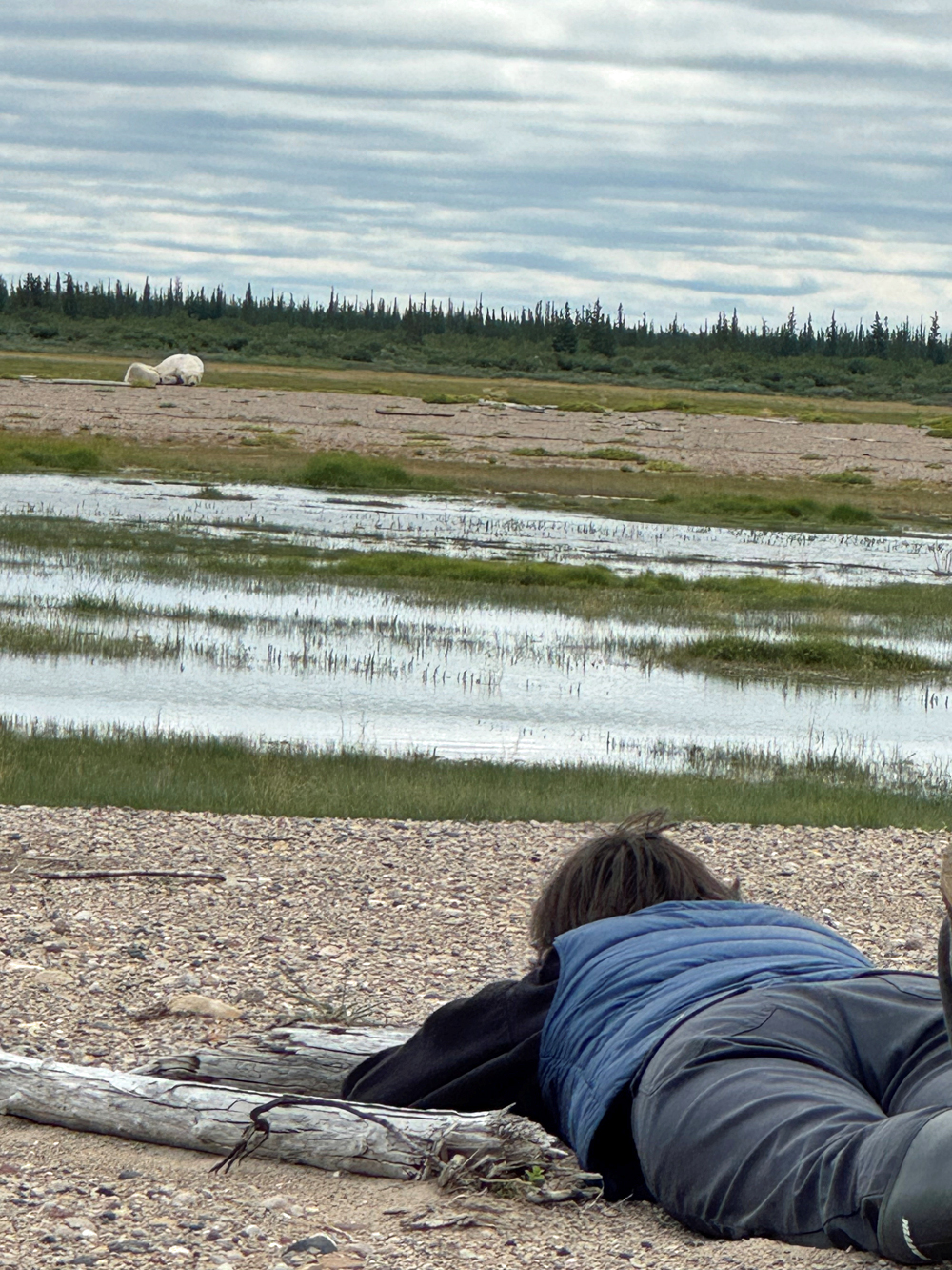 "It touched every sense." ~ Carolyn watching mom and cub from a beach ridge at Nanuk. 