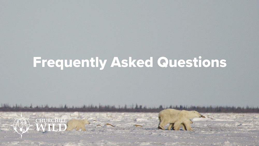 Churchill Wild Frequently Asked Questions