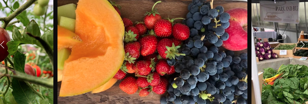 Sustainably grown Prairie Wild produce supplies the Churchill Wild lodges.