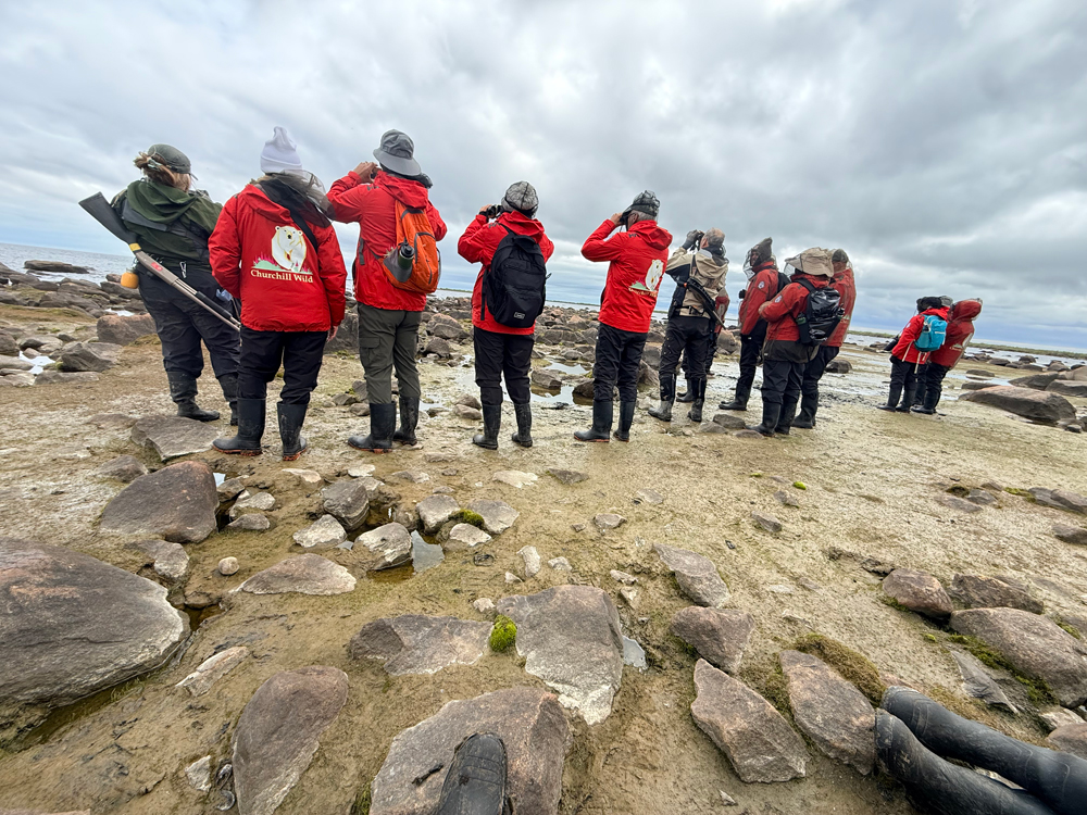 Guests glassing for polar bears at Seal River Heritage Lodge. Jen Arnold photo.