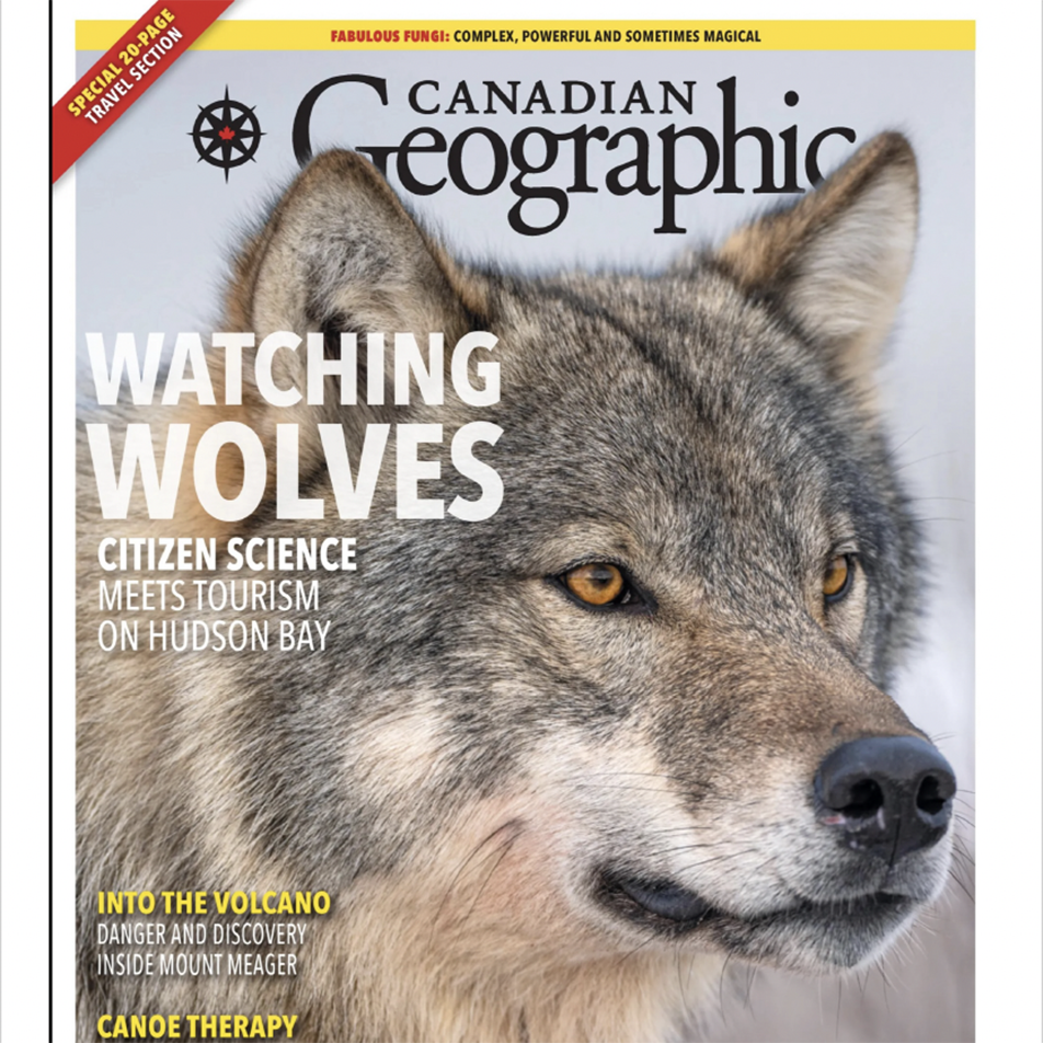 Can-Geo-Watching-Wolves-Christoph-Fabienne