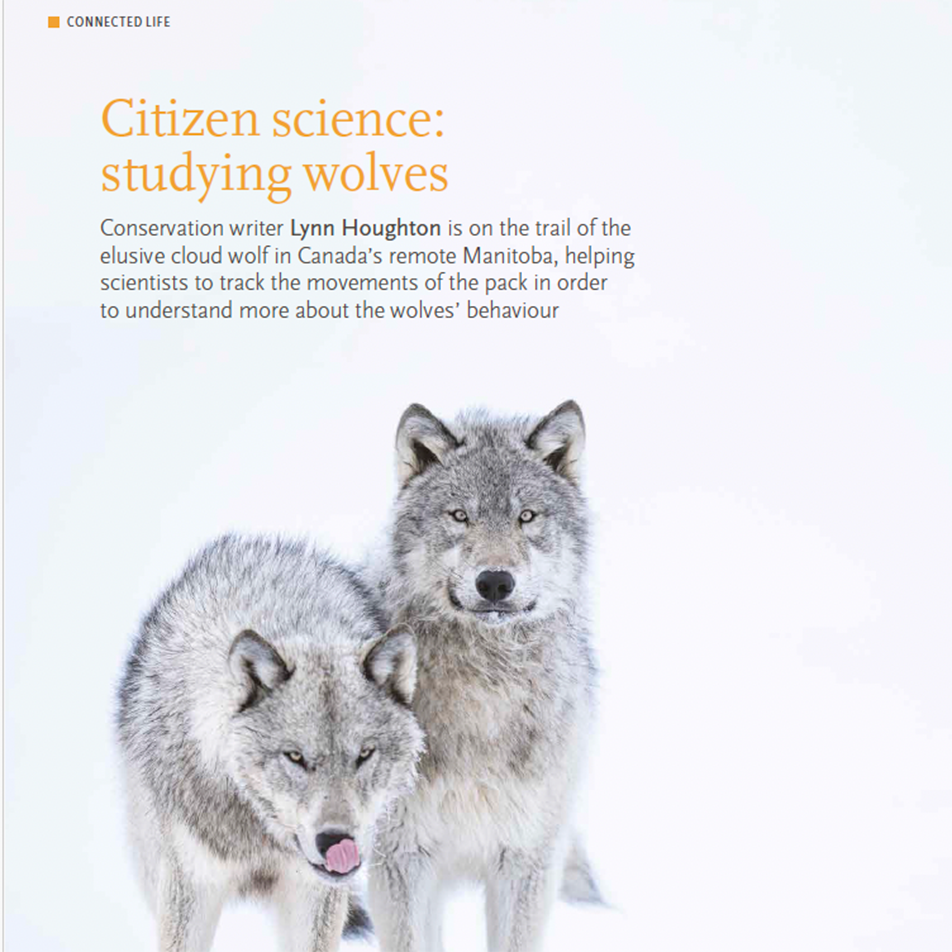 Research-and-Ecology-Lynn-Houghton