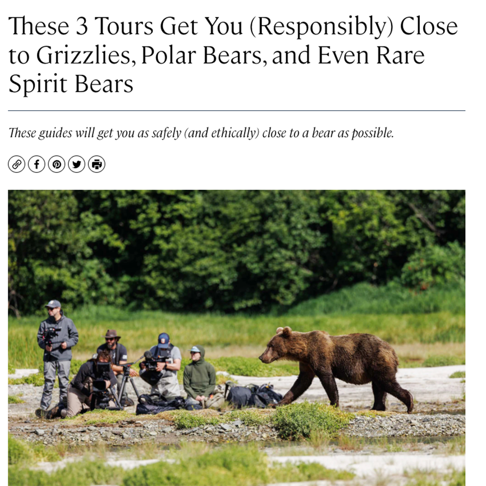Afar-Susan-Portnoy-Resposibly-Close-to-Polar-Bears