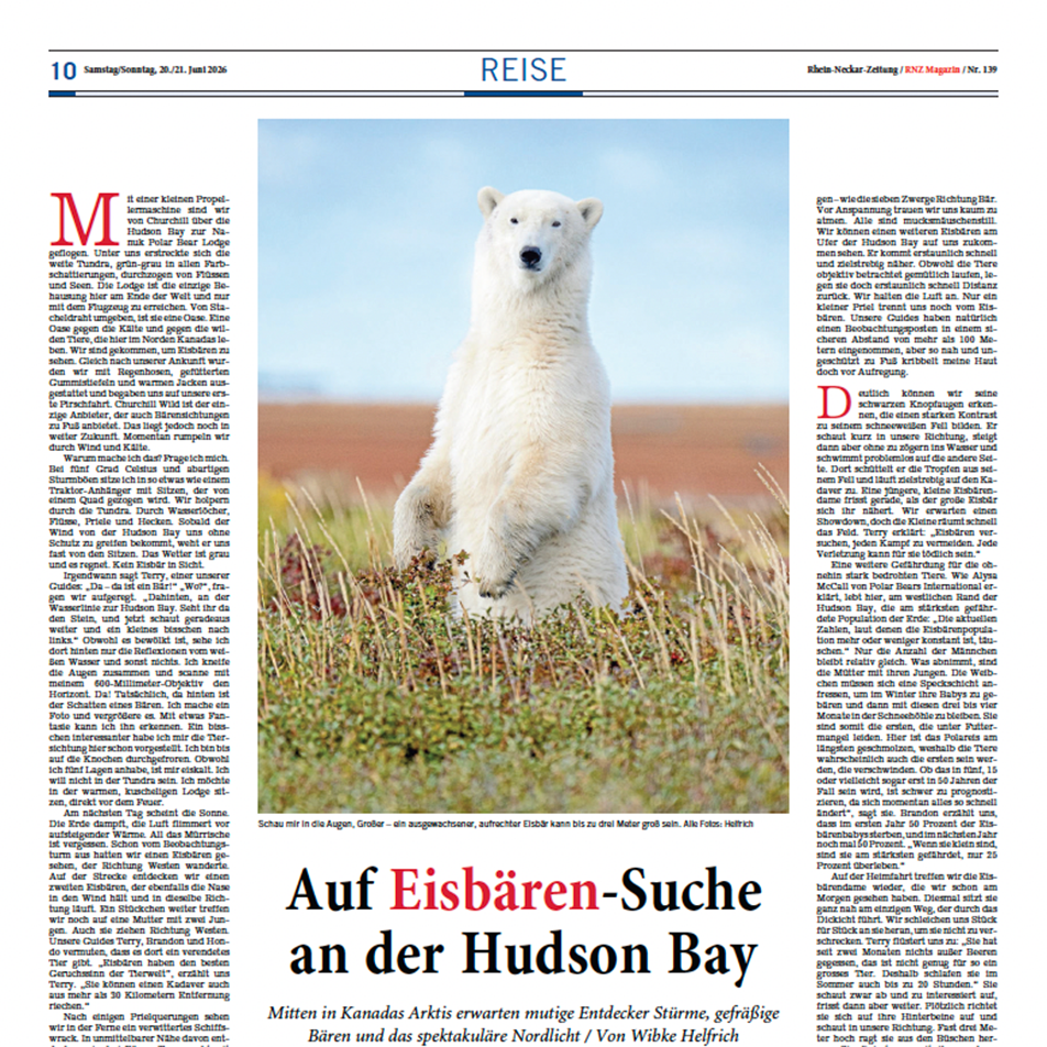 Wibke-Rhein-Neckar-Zeitung