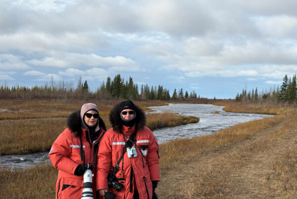 Australians Wendy and David Bailey at Nanuk Polar Bear Lodge on the Fall Dual Lodge Safari.